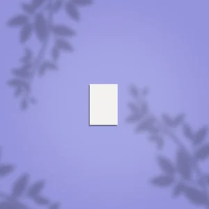 Brusný blok obdélníkový mini EXPERT 51, zrnitost 100/180 (50 ks) STALEKS PRO